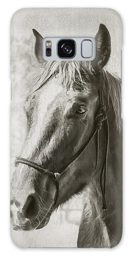 Horses Galaxy Case featuring the photograph Old West Transportation by Elaine Malott