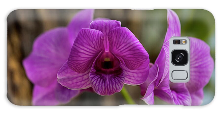 Orchid Galaxy Case featuring the photograph Orchid #1 by Stuart Manning