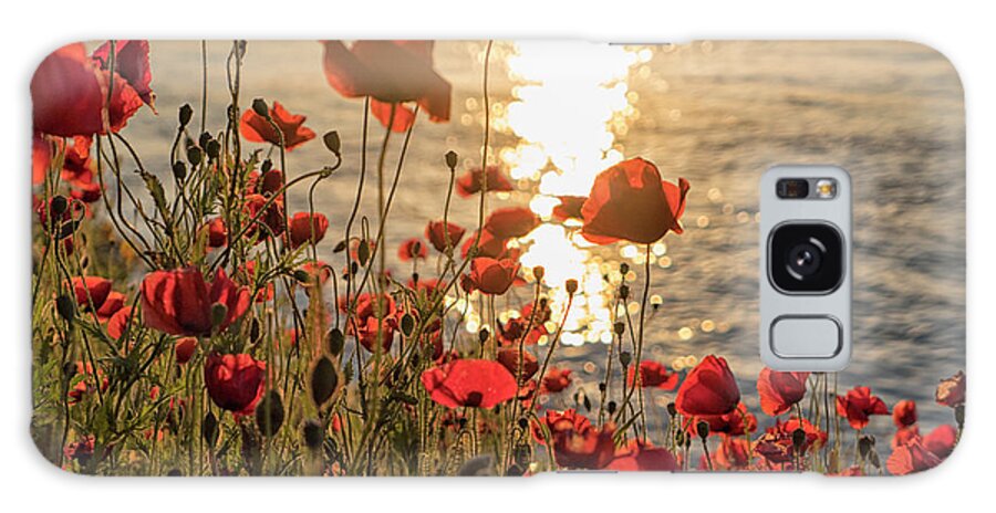 Poppy Galaxy Case featuring the photograph Poppy flowers at sunset on river by Patricia Hofmeester