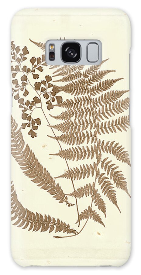 Botanical & Floral Galaxy Case featuring the painting Sepia Ferns IIi #1 by Vision Studio