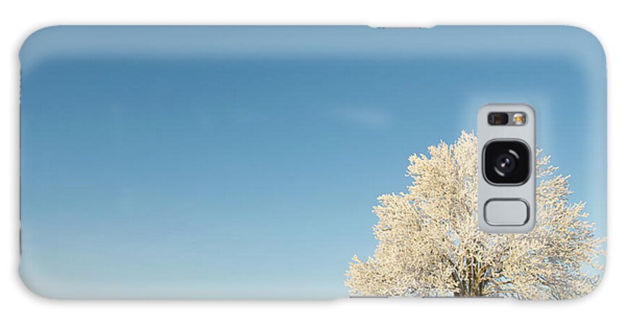 Snow Galaxy Case featuring the photograph Single Elm Tree Covered In Snow In Open #1 by Erik Buraas