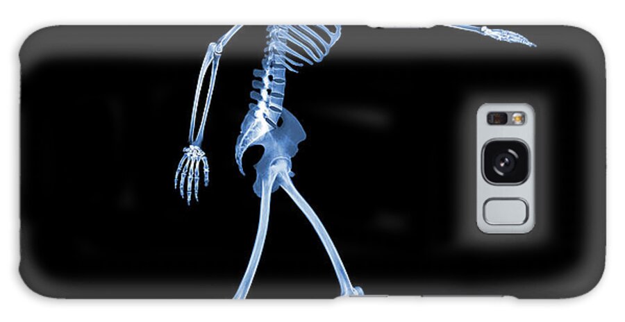 Activities Galaxy Case featuring the photograph Skeleton Playing Football #1 by D. Roberts/science Photo Library
