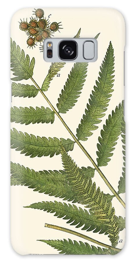 Botanical & Floral Galaxy Case featuring the painting Small Antique Fern II #1 by Vision Studio