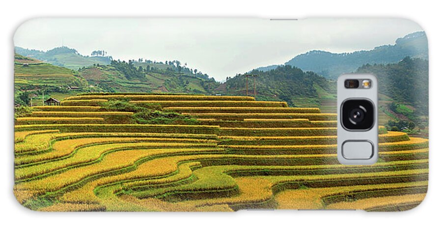 Scenics Galaxy Case featuring the photograph Terraced Fields In Vietnam #1 by Long Hoang