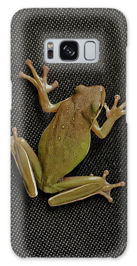 Frog Galaxy S8 Case featuring the photograph Tree Frog #1 by Nathan Little