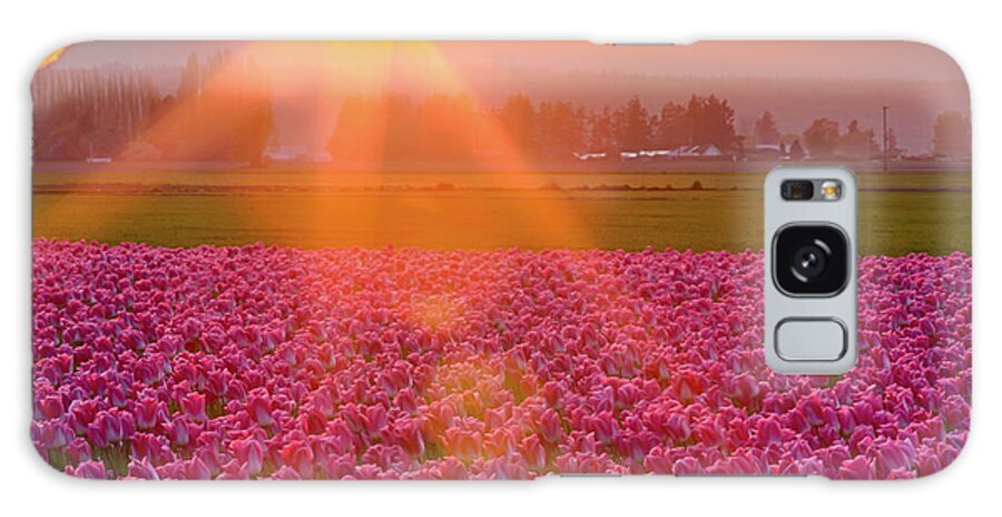 Flower Galaxy Case featuring the photograph Tulip Sunset #1 by Briand Sanderson