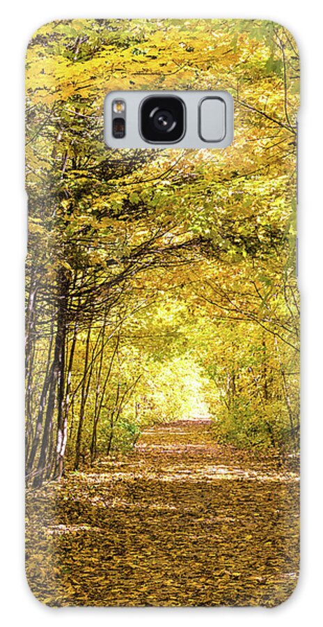 Trees Galaxy Case featuring the photograph Tunnel of trees #2 by Joe Holley