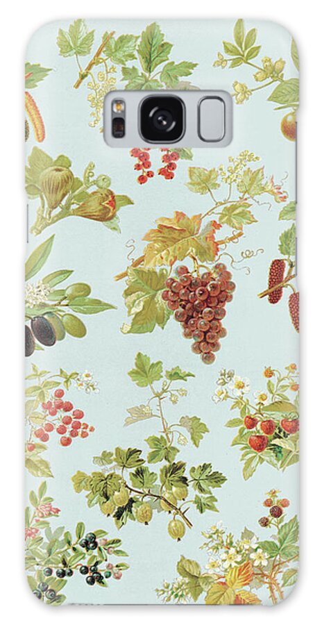 Berry Galaxy Case featuring the drawing Various Fruits #1 by CSA Images