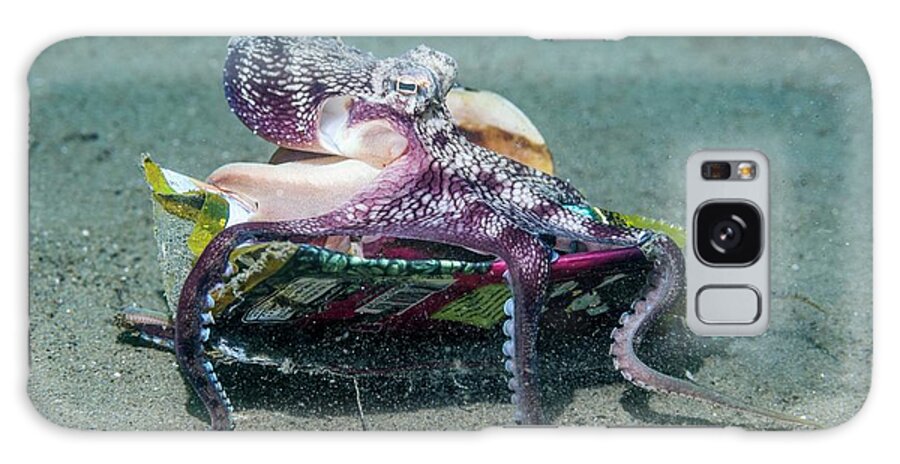 Ambon Galaxy Case featuring the photograph Veined Octopus With Rubbish Collected On The Sea Bed #1 by Georgette Douwma/science Photo Library