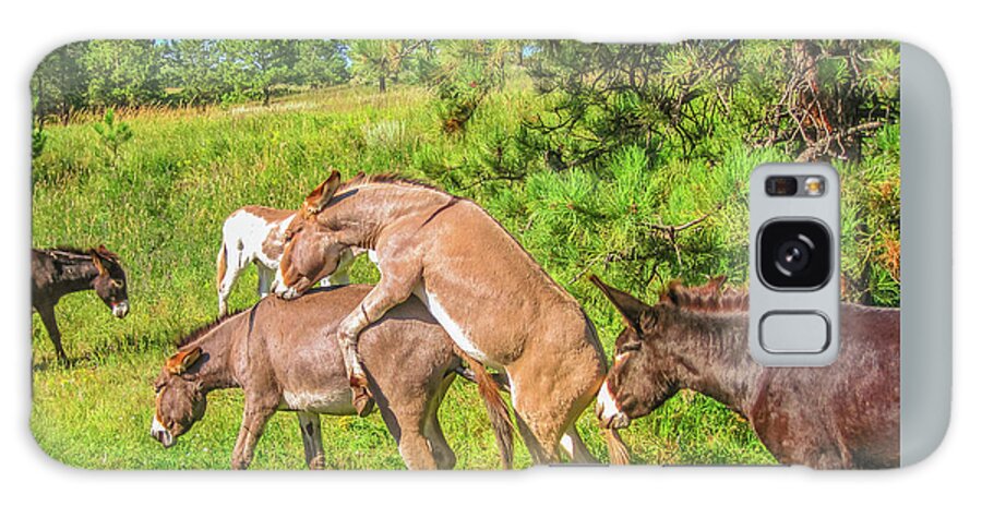 Donkeys Mating Galaxy Case featuring the photograph Wild Donkeys mating #1 by Benny Marty