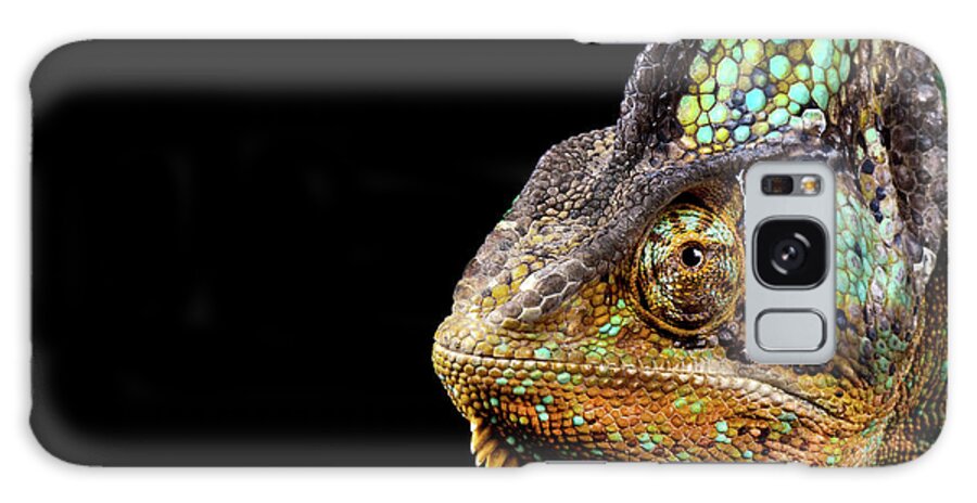Animal Themes Galaxy Case featuring the photograph Yemen Chameleon #1 by Markbridger