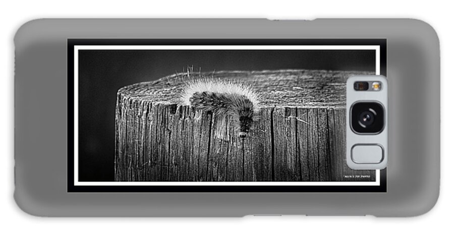 Caterpillar Galaxy S8 Case featuring the photograph 100918-137 by Mike Davis