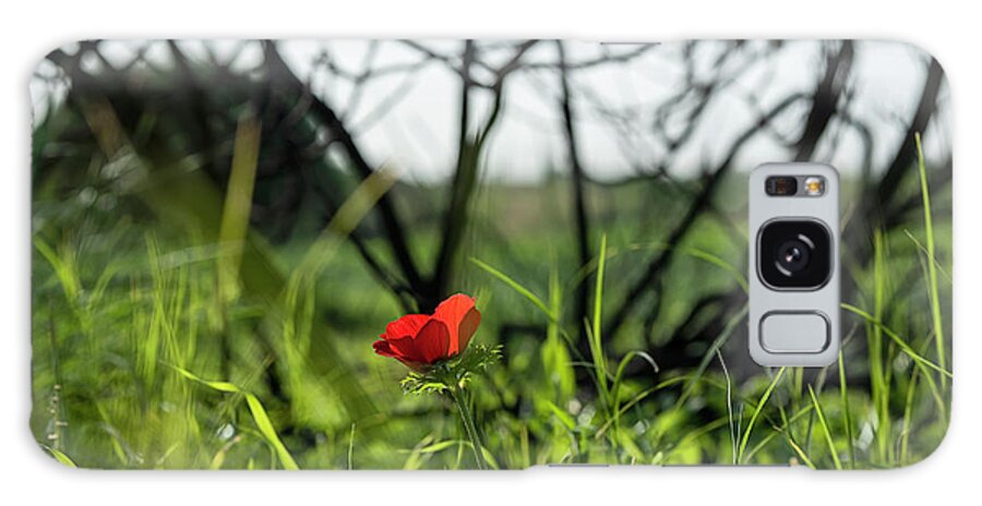 Anemones Galaxy Case featuring the photograph Anemones by Benny Woodoo