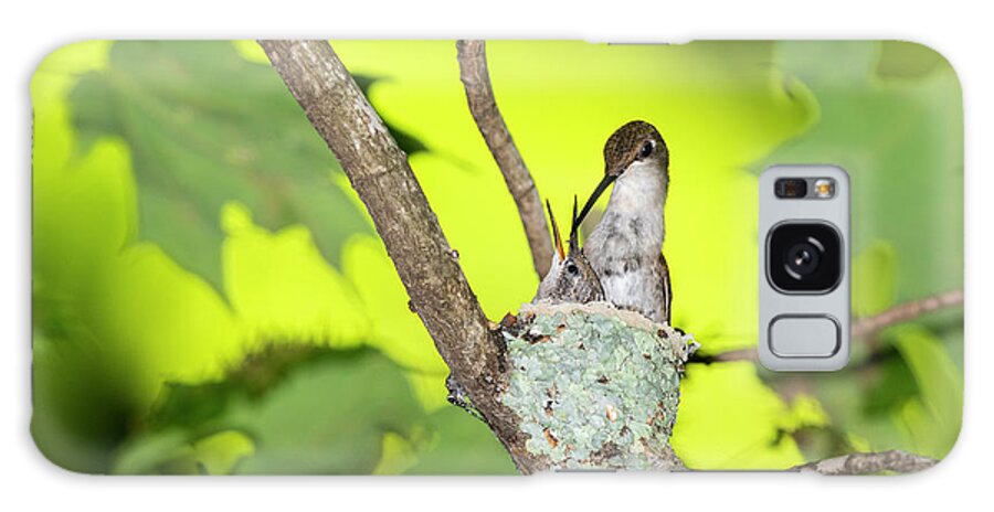 Archilochus Colubris Galaxy Case featuring the photograph Ruby-throated Hummingbird (archilochus #14 by Richard and Susan Day