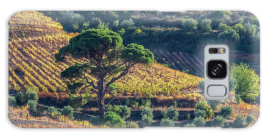 Douro Valley Galaxy Case featuring the photograph Portugal, Douro Valley #15 by Julie Eggers