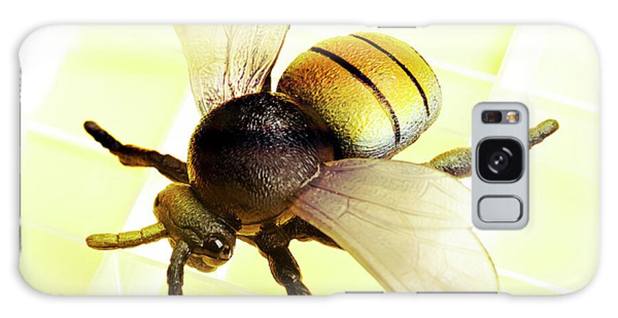 Animal Galaxy Case featuring the drawing Bee #16 by CSA Images