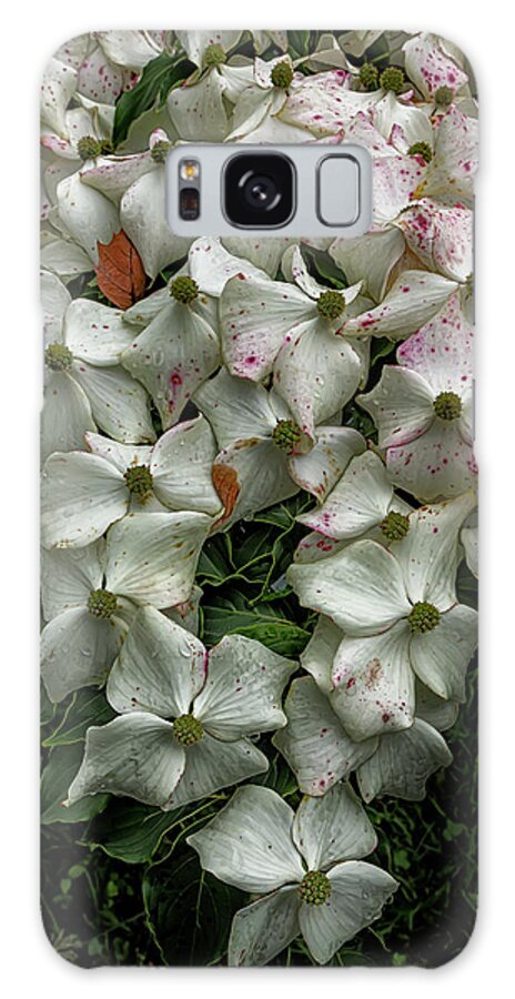 Flowering Dogwood Galaxy S8 Case featuring the photograph Flowering Dogwood #18 by Robert Ullmann