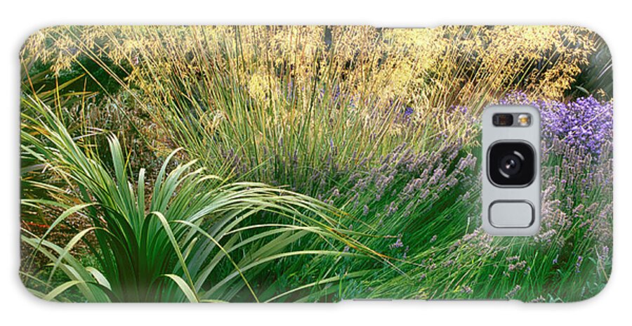 Grass Galaxy Case featuring the photograph Dan Hinkley Garden #19 by Richard Felber