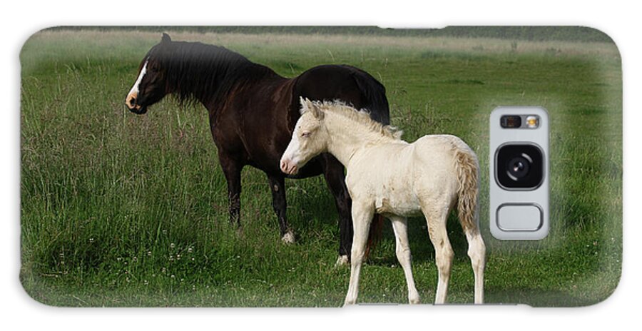1z5f9919 Welsh Cob Mare And Foal Galaxy Case featuring the photograph 1z5f9919 Welsh Cob Mare And Foal, Brynseion Stud, Uk by Bob Langrish