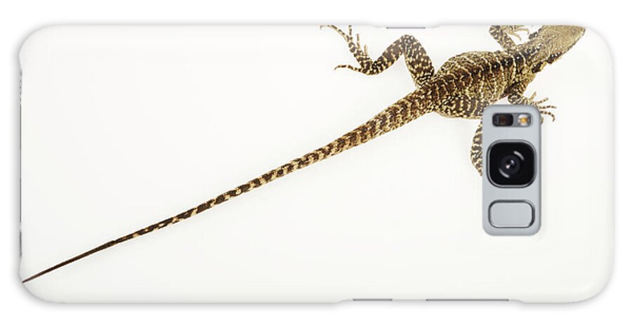 Long Galaxy Case featuring the photograph Australian Water Dragon Physignathus #2 by Martin Harvey