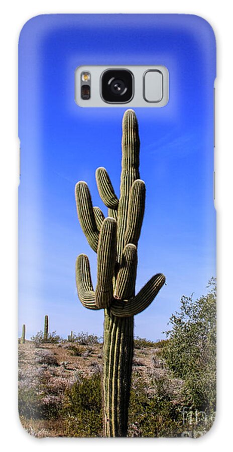 Cacti Galaxy Case featuring the photograph Beautiful Saguaro Cactus #1 by Robert Bales
