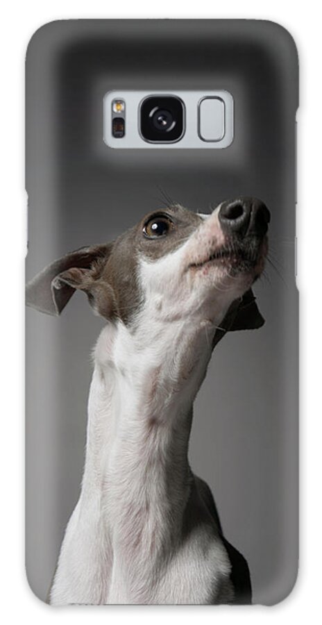 Pets Galaxy Case featuring the photograph Dog Looking Away #2 by Chris Amaral