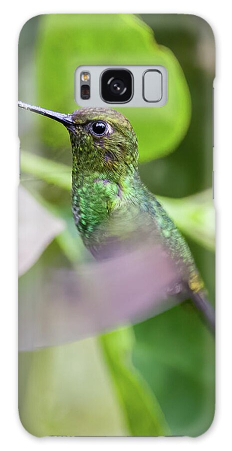 Colombia Galaxy S8 Case featuring the photograph Greenish Puffleg Fincas Verdes San Antonio Tolima Colombia #2 by Adam Rainoff
