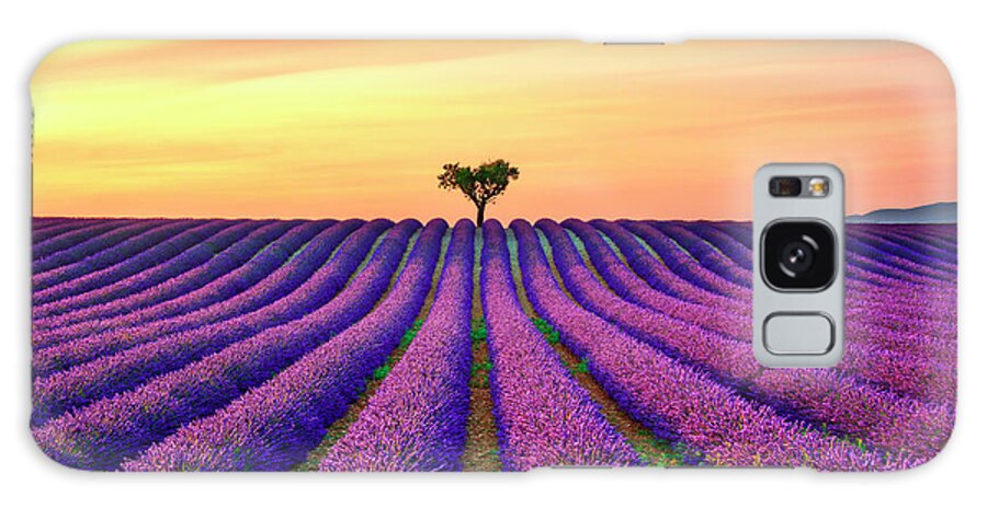 Lavender Galaxy Case featuring the photograph Lavender Flowers and Lonely Tree in Provence by Stefano Orazzini