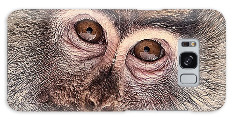 Patas Monkey Galaxy Case featuring the photograph Portrait of a Baby Patas Monkey #1 by Jim Fitzpatrick