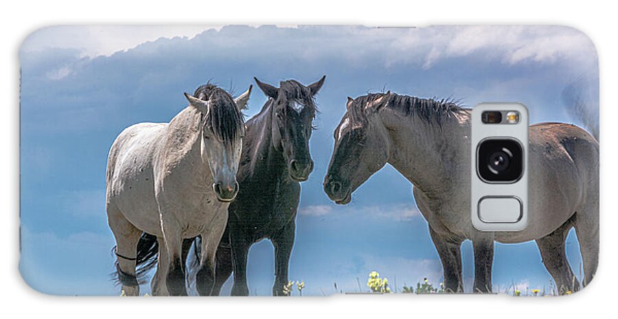 Pryor Mountain Galaxy Case featuring the photograph Wild Mustangs of Montana #1 by Douglas Wielfaert