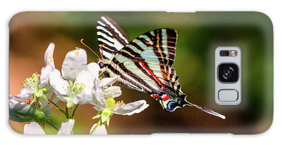 Zebra-swallowtail Galaxy Case featuring the photograph Zebra Swallowtail by Bernd Laeschke