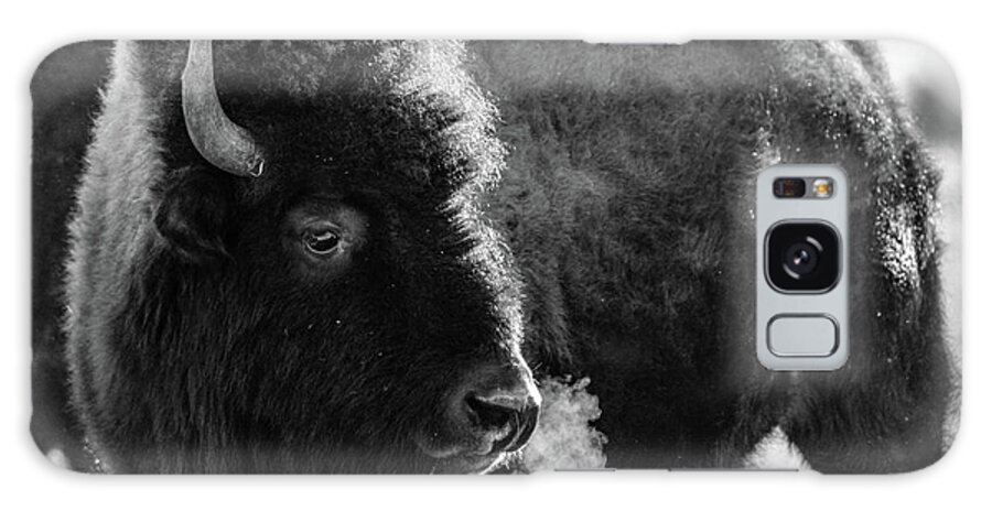 Bison Galaxy S8 Case featuring the photograph American Bison #3 by Philip Rodgers