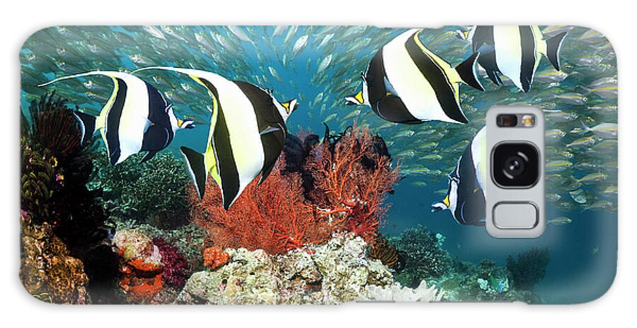 Underwater Galaxy Case featuring the photograph Coral Reef Fish #3 by Georgette Douwma