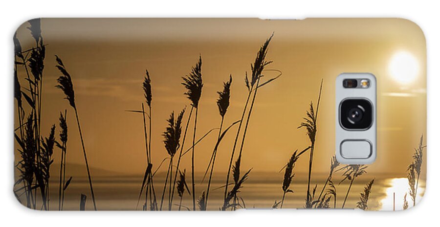 Laugharne Galaxy Case featuring the photograph Laugharne Estuary at Dawn #3 by Nigel Forster
