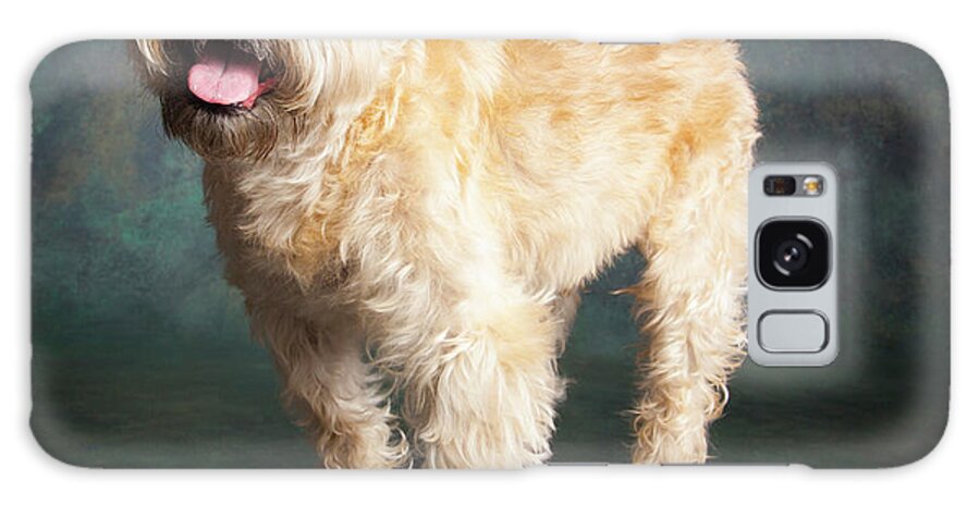 Photography Galaxy Case featuring the photograph Portrait Of A Brussels Griffon Dog #3 by Panoramic Images