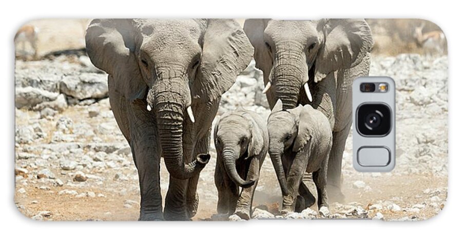 Four Galaxy Case featuring the photograph African Elephants #4 by Dr P. Marazzi/science Photo Library