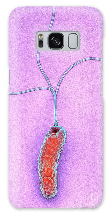 Bacterial Galaxy Case featuring the photograph Helicobacter Pylori Bacterium #4 by Science Photo Library