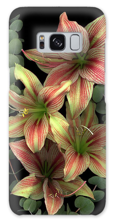 Red And White Amaryllis Eucalyptus Flowers Galaxy Case featuring the painting 4 Red & White Amaryllis & Eucalyptus by Susan S. Barmon