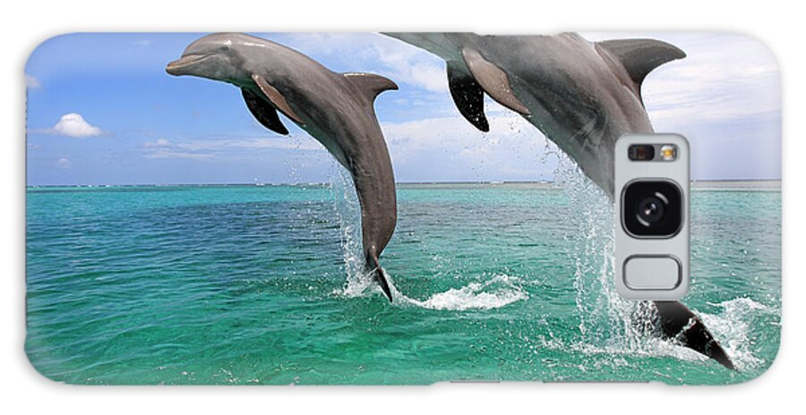 Bay Islands Galaxy Case featuring the photograph Delfin Grosser Tuemmler #5 by Tier Und Naturfotografie J Und C Sohns