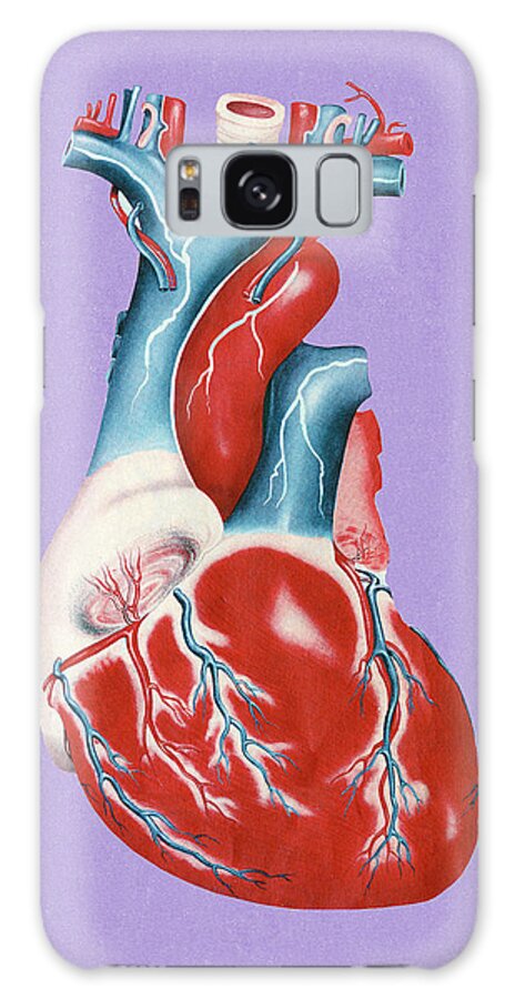 Anatomical Galaxy Case featuring the drawing Human Heart #5 by CSA Images