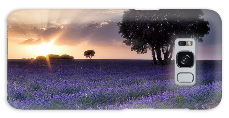 Spain Galaxy Case featuring the photograph Lavender Plantation. Brihuega #5 by David Santiago Garcia