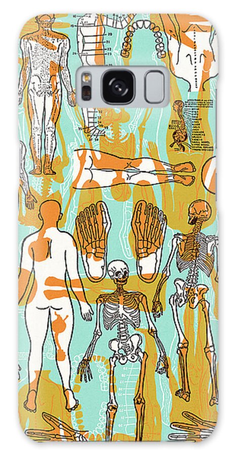 Academic Galaxy Case featuring the drawing Human anatomy #6 by CSA Images