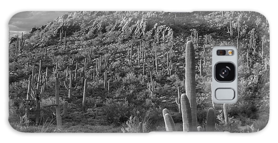 Disk1216 Galaxy Case featuring the photograph Saguaro Cacti, Arizona #6 by Tim Fitzharris