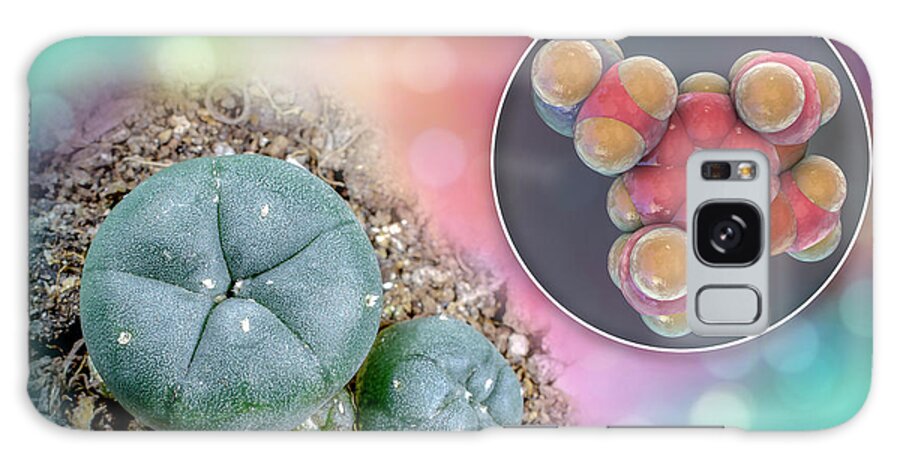 Arid Adapted Galaxy Case featuring the photograph Mescaline Molecule And Peyote Cactus #7 by Kateryna Kon/science Photo Library