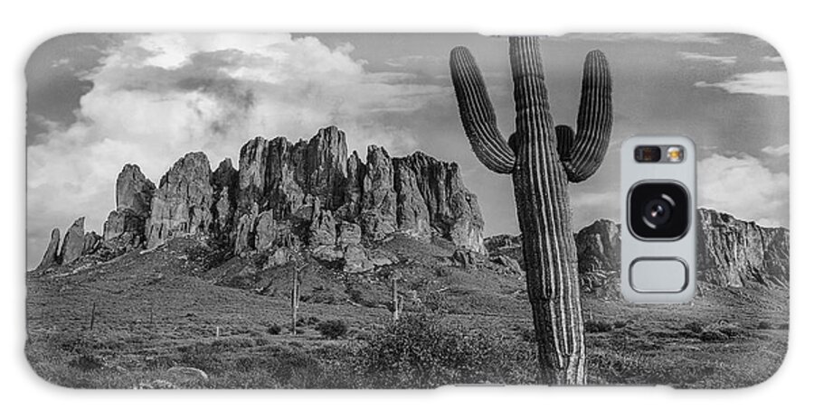 Disk1216 Galaxy Case featuring the photograph Saguaro Cacti, Arizona #7 by Tim Fitzharris