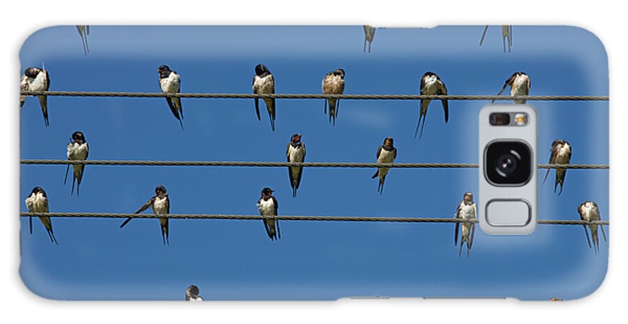 Barns (european) Swallow (hirundo Rustica) On Wire Galaxy Case featuring the photograph 743-680 by Robert Harding Picture Library