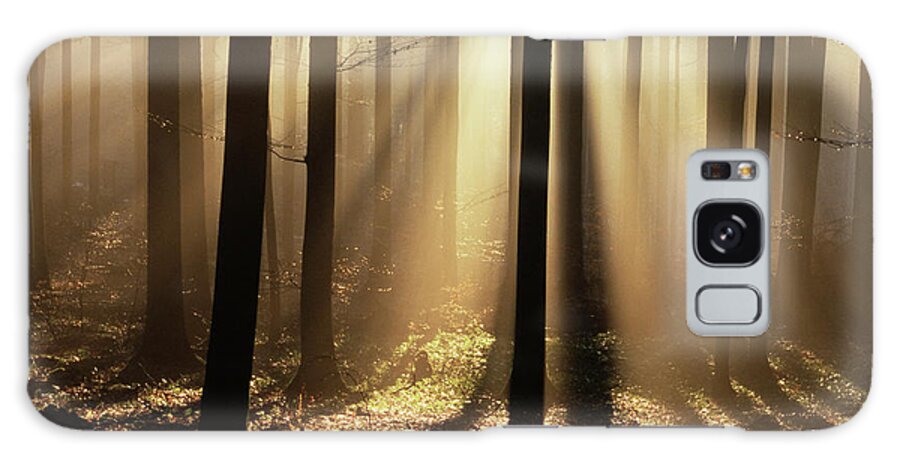 Foggy Forest And Sunrays Galaxy Case featuring the photograph 756-172 by Robert Harding Picture Library