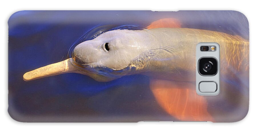 Wild Pink Amazon River Dolphin Galaxy Case featuring the photograph 796-308 by Robert Harding Picture Library