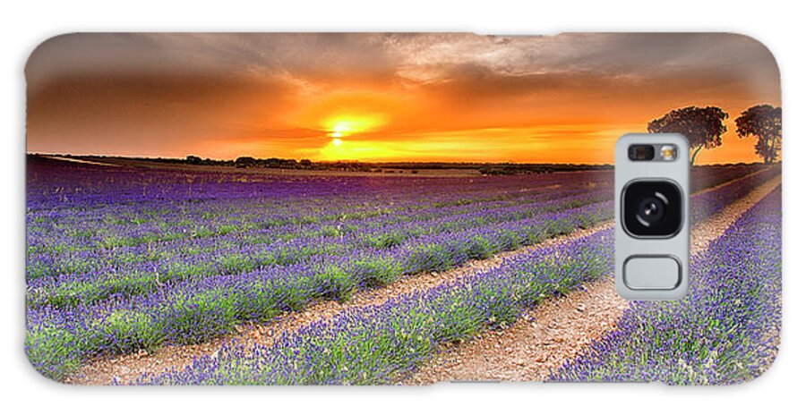 Spain Galaxy Case featuring the photograph Lavender Plantation. Brihuega #9 by David Santiago Garcia