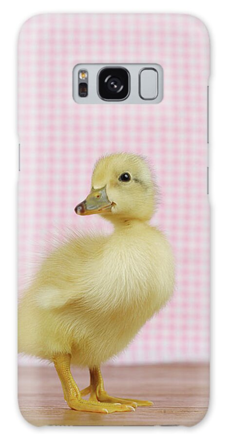 Pets Galaxy Case featuring the photograph A Baby Duck by Dominik Eckelt